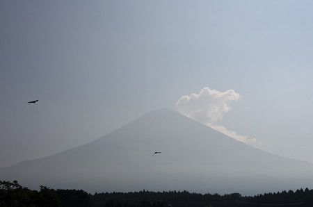 今朝の富士山