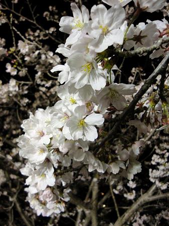 DSC01304