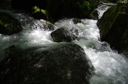 IMGP2245