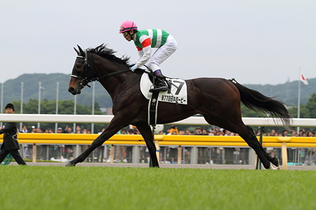 トゥザグローリー_2010Derby