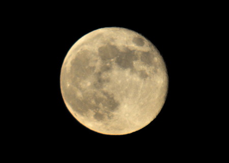 DSC_2092a