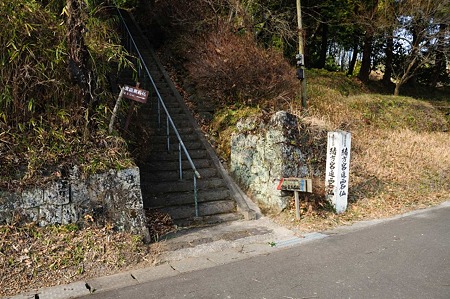 1001021255_DSC_6689