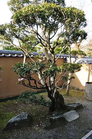 1001040845_DSC_9104