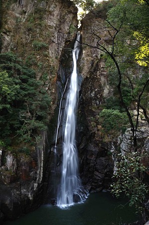 1001041340_DSC_9881