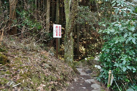 1001041511_DSC_9979