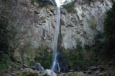 1001041525_DSC_0024