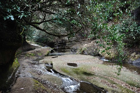 1001041531_DSC_0055
