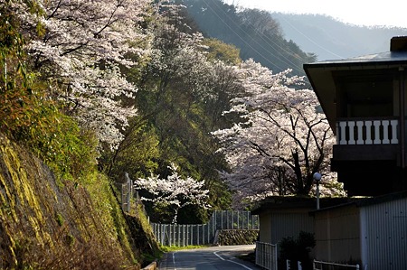 1004081705_DSC_2734