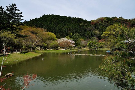 1005031032_DSC_3082