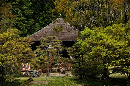 1005031058_DSC_3192