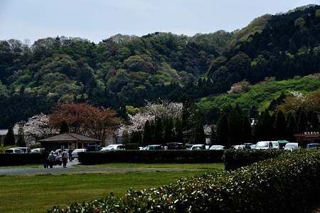 1005031059_DSC_3196