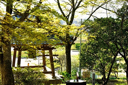 1005031630_DSC_3964