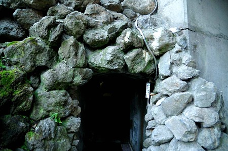 1005031731_DSC_4142
