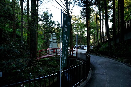 1005031736_DSC_4177