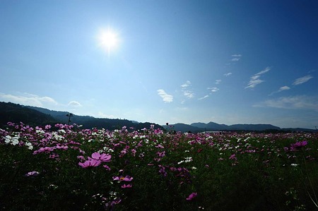 1010130957_DSC_1547