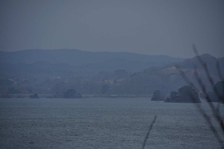 1005040920_DSC_4381
