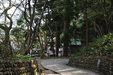 1005050837_DSC_5105