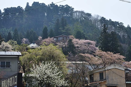 1005050914_DSC_5242