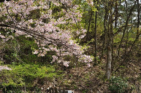 1005051328_DSC_5635