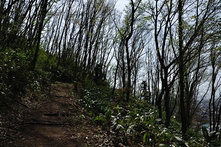 1005051356_DSC_5662