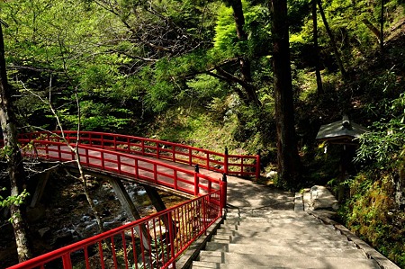 1005060947_DSC_6288
