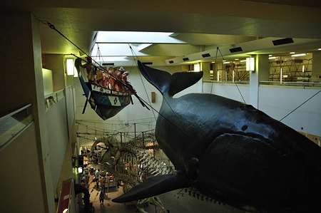 1009191359_DSC_1896