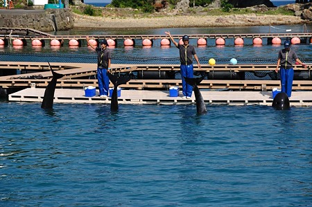 1009191424_DSC_2035