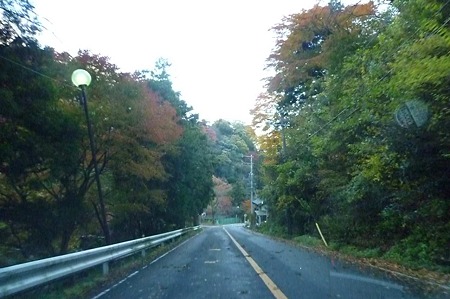 1011230700_P1710565