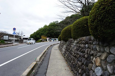 1011231247_DSC_4560