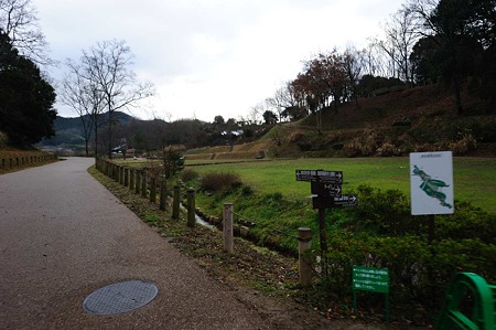 1101020849_DSC_6775