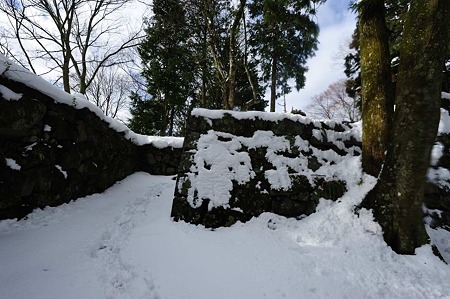 1101021244_DSC_7255