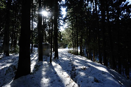 1101021311_DSC_7351