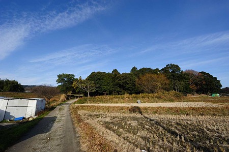 1101030957_DSC_7764