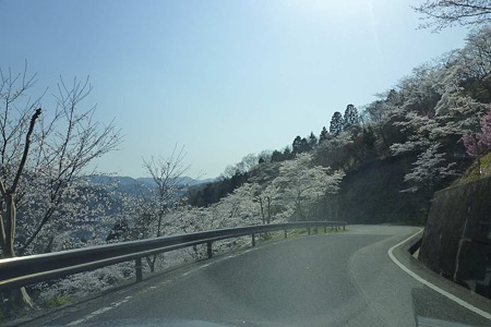 1104121526_P1740632