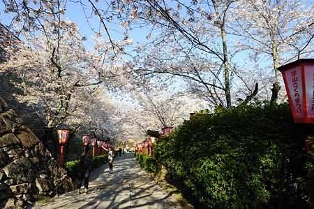 1104121648_DSC_9458