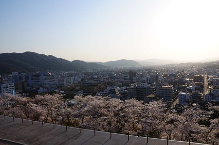1104121731_DSC_4971