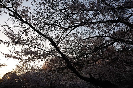 1104121758_DSC_5025