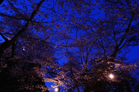 1104121857_DSC_9627