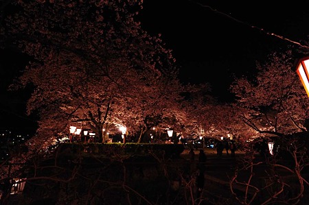 1104121923_DSC_9705