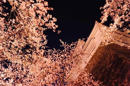 1104121924_DSC_9710