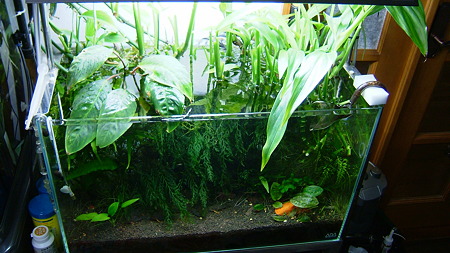 DSCF0210