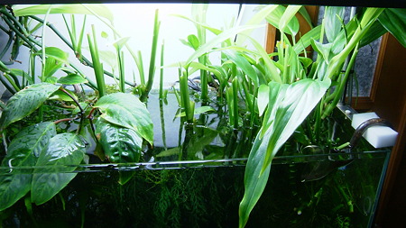 DSCF0217