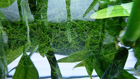 DSCF0208