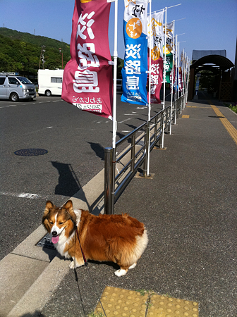 写真 1