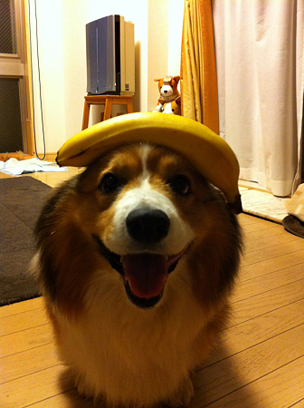 写真 3