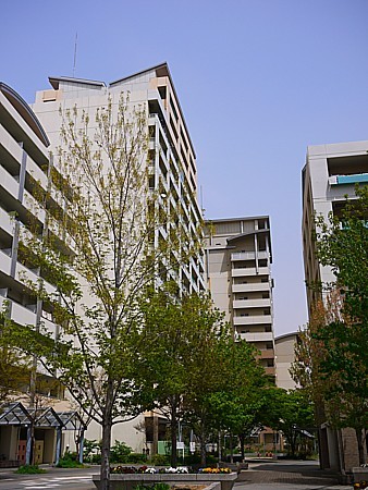 阪神大震災に学ぶ