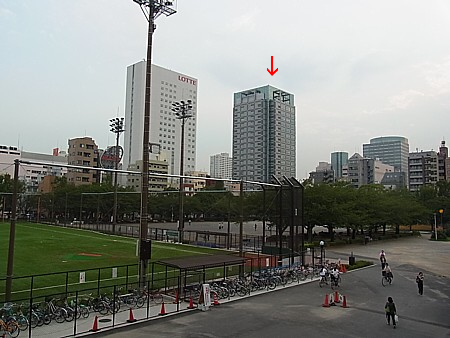 錦糸公園運動場