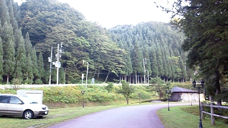 わんわんパラダイス アプローチ
