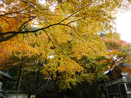 雷山千如寺大悲王院(32)