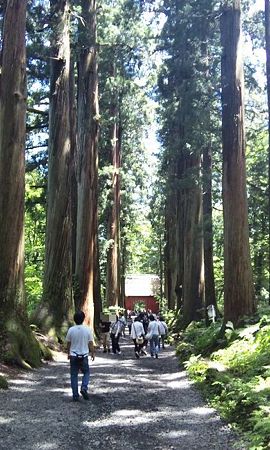 戸隠神社参道２